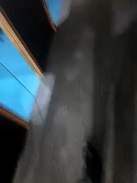 hotboy43339 online show from 03-01-26, 03:06