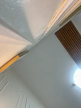 LanySylvia online show from 01-13-26, 02:10