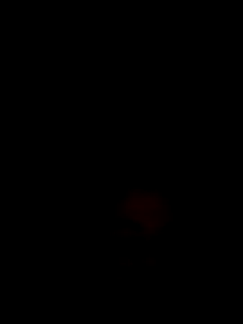 Snapshot of Fran-solo chatting on 05-17-26, 02:17 Fran-solo online show from 05-17-26, 02:17