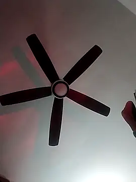 Snapshot of MoonlikePolicy727 chatting on 02-22-26, 05:14 MoonlikePolicy727 online show from 02-22-26, 05:14