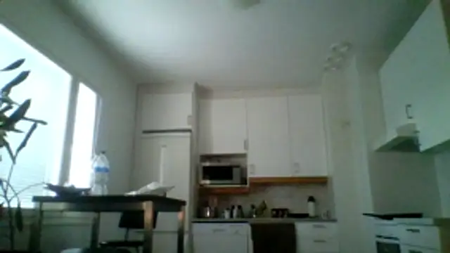 Silverhippo online show from 05-20-26, 06:16