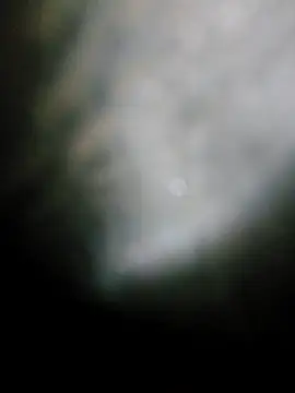 fena-sikerimmm online show from 05-19-26, 10:06
