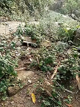 MuiNay online show from 04-17-26, 09:45