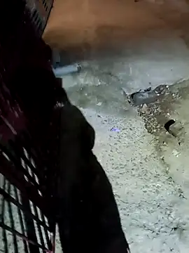 nughtytommy01 online show from 04-10-26, 08:05