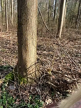 CoraDiamond online show from 03-08-26, 02:09