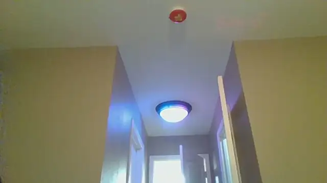 Snapshot of LeeCox chatting on 01-10-26, 10:43 LeeCox online show from 01-10-26, 10:43