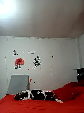 Lady 16 online show from 01-06-26, 01:53