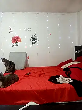 Lady 16 online show from 02-17-26, 01:58