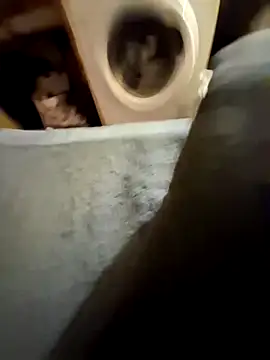 lapousse3 online show from 09-25-25, 11:38