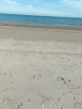 pegaso369 online show from 10-09-25, 11:22