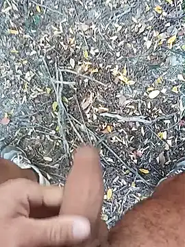 pegaso369 online show from 10-15-25, 02:14