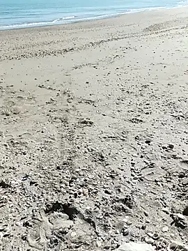 pegaso369 online show from 10-07-25, 11:33