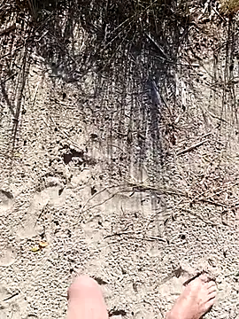 pegaso369 online show from 10-01-25, 01:26