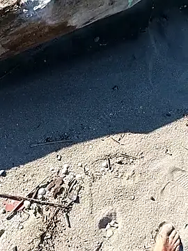 pegaso369 online show from 10-03-25, 01:56