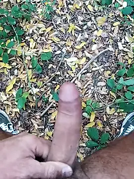 pegaso369 online show from 10-22-25, 01:43