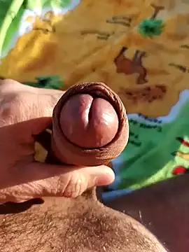 pegaso369 online show from 11-03-25, 02:53