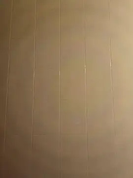 pegaso369 online show from 12-16-25, 06:56