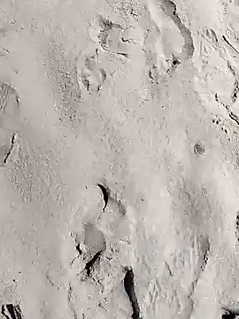 pegaso369 online show from 03-28-26, 11:11