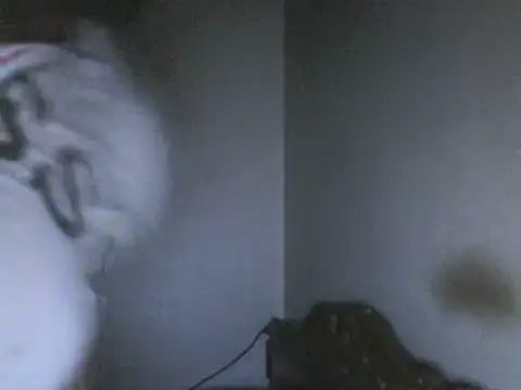 elpoop7305 online show from 05-18-26, 02:01
