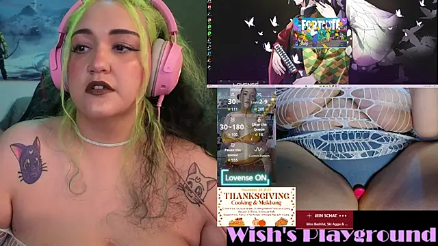 nevermakeawish online show from 11-27-25, 02:17