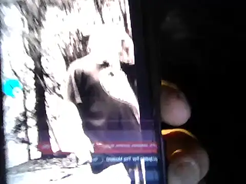 Eat it from the back online show from 11-08-25, 03:54