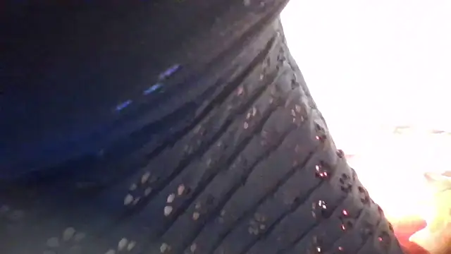 LustInLips online show from 10-09-25, 05:08