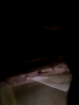 Snapshot of CoMay003 chatting on 02-23-26, 01:40 CoMay003 online show from 02-23-26, 01:40