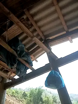 CoMay003 online show from 04-12-26, 04:49