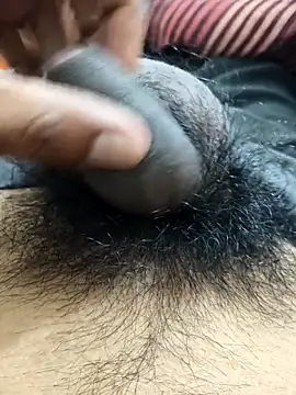 Bio-teacher online show from 11-27-25, 05:13