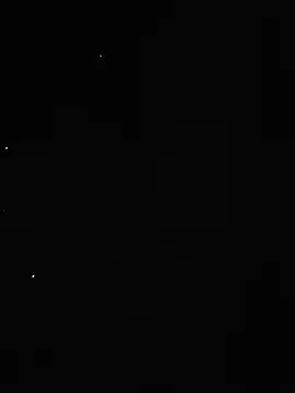 WILDGUYHERE online show from 05-18-26, 10:03
