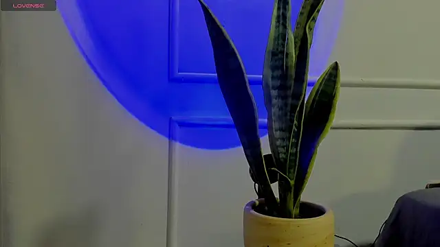 Ice Princess  online show from 10-02-25, 04:38