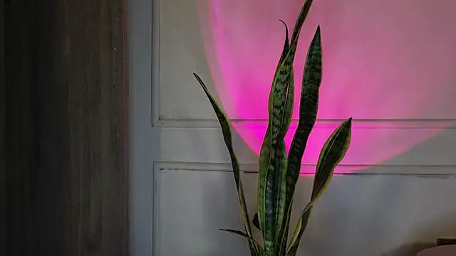 Ice Princess  online show from 10-03-25, 05:20