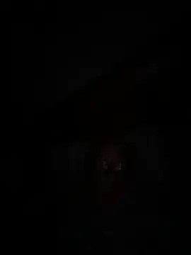 philefc online show from 09-27-25, 06:19