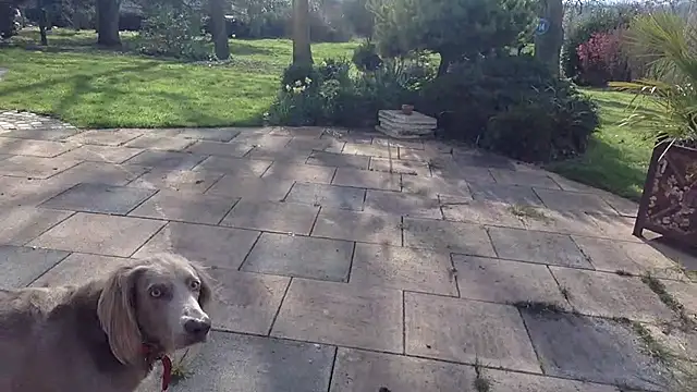 3615-ULLA online show from 03-10-26, 02:32