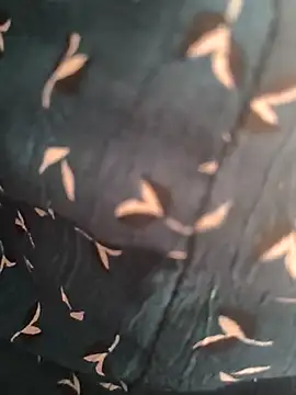 Gk 99999 online show from 04-14-26, 08:19