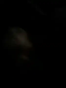 high3ndlowlife online show from 11-27-25, 02:12