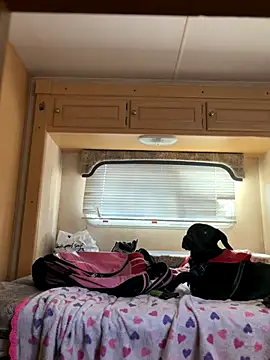 high3ndlowlife online show from 11-20-25, 04:40