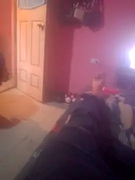 Snapshot of shessAz chatting on 02-07-26, 03:09 shessAz online show from 02-07-26, 03:09