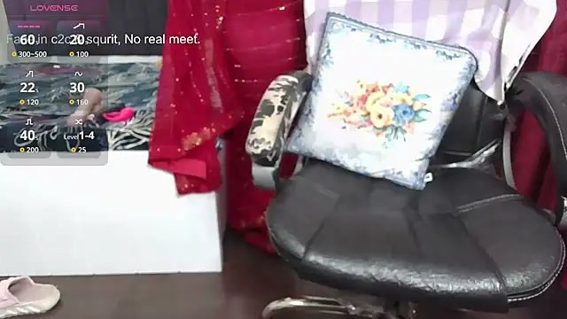 Prince ki Princess online show from 12-20-25, 12:19