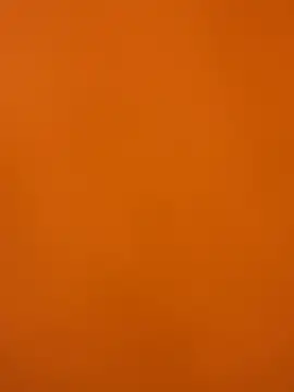 XanderOzzz online show from 12-02-25, 08:32