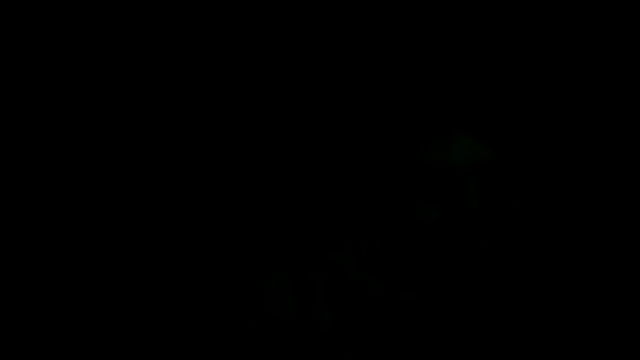 XanderOzzz online show from 04-15-26, 07:03