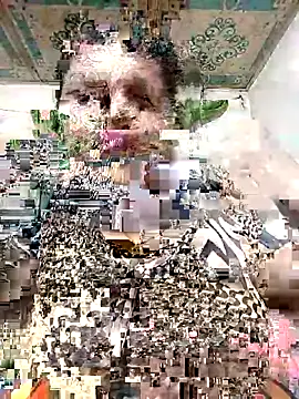 Payel 50 online show from 05-25-26, 04:28