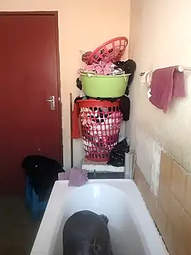 shebeshid online show from 04-11-26, 07:56