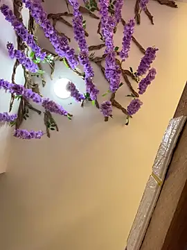 Snapshot of burbuja02 chatting on 04-04-26, 02:34 burbuja02 online show from 04-04-26, 02:34