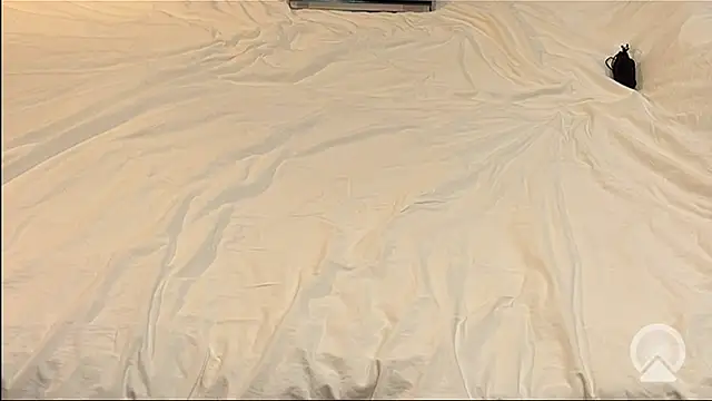 myPriority01 online show from 01-09-26, 01:40