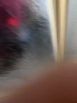 LicitInvader online show from 02-12-26, 08:03