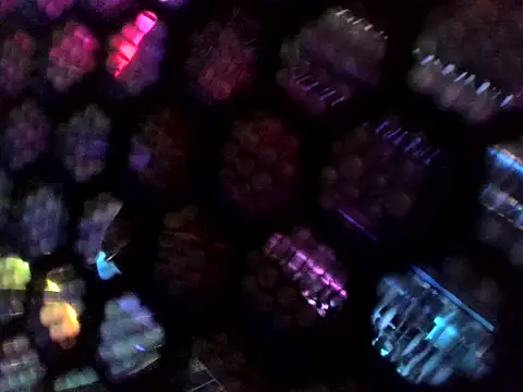 Wyrolowanyyy online show from 04-15-26, 12:27