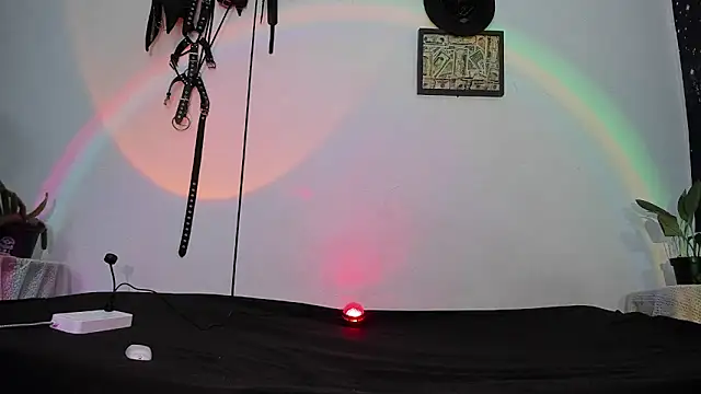 dex 55 online show from 05-12-26, 10:27