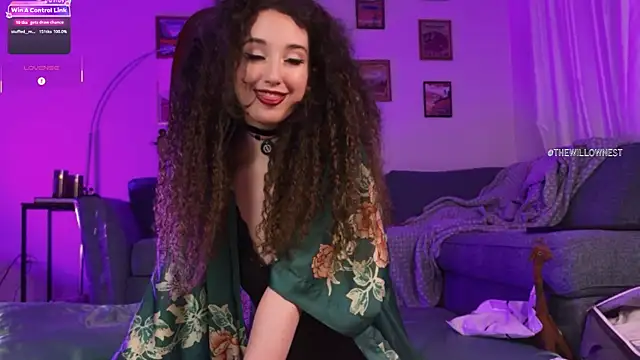 Snapshot of thewillownest_ chatting on 06-19-26, 02:12 thewillownest online show from 06-19-26, 02:12