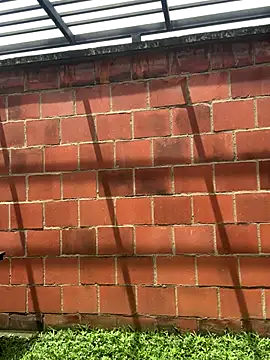 Andrew Johnnson online show from 10-24-25, 04:50